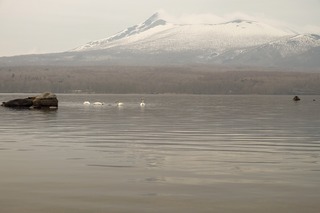 7ABF2FA1-ECD0-41F0-AE26-5FC2D13B9D4A.jpeg